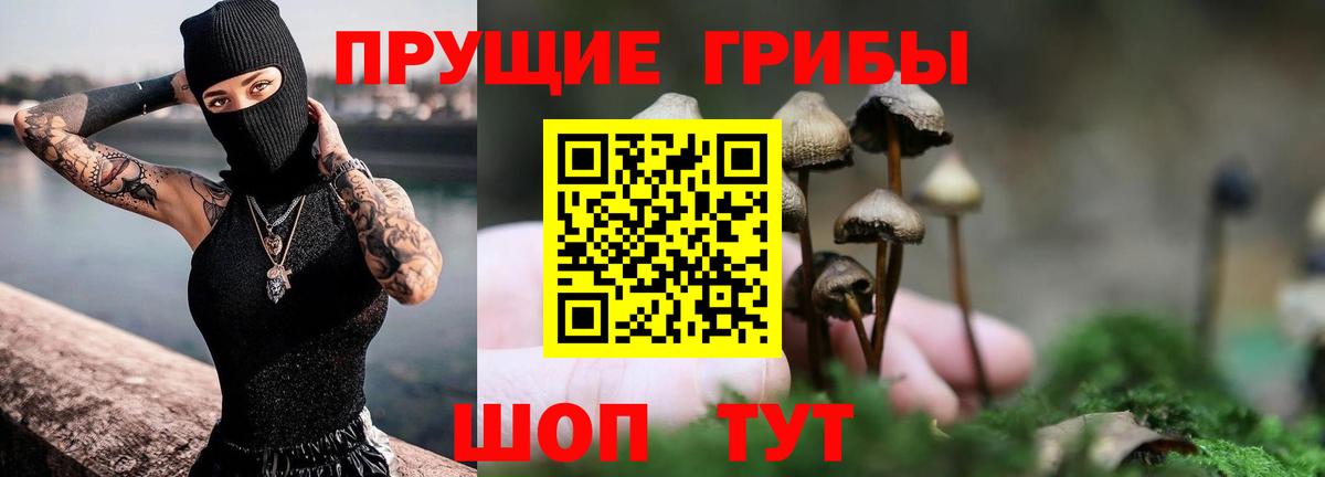 Галлюциногенные грибы ЛСД Кыштым